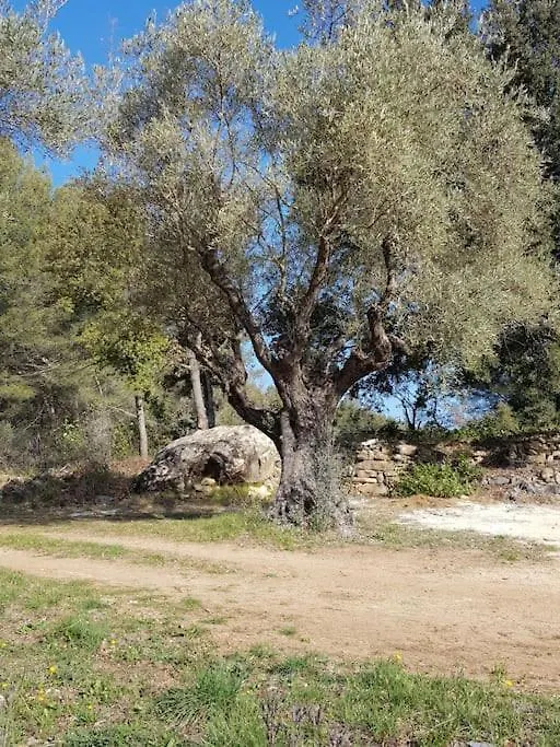 Maison d'hôtes Gîtes mas des rochers Le Beausset